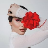 LuminaRaiss webcam model