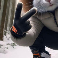 xMILOW offline chatrum