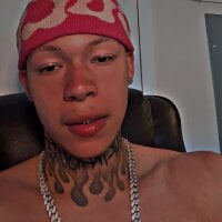 palacebranded webcam