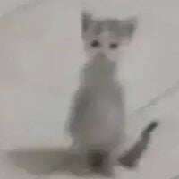 paint_it_black_'s Avatar Pic