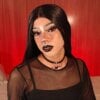 _CINAMON_13_
