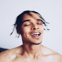 Stripe-partial model avatar