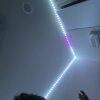 junglejhon's Offline XXX Chat