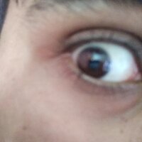 Dolaput's Profile Photo