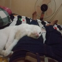 naughtystrock webcam