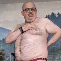 Bibear197511