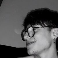 Manuellsgshsvsh webcam