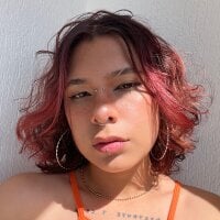 Mavistech webcam model