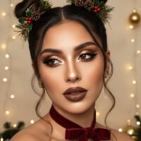 isaa_dl webcam model