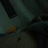 negodoce2205
