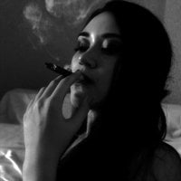 Nightfairy Ruang Obrolan Offline