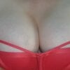 pussyCat_t
