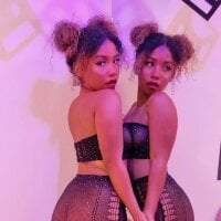 Salome_tk webcam model