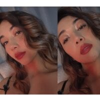 Модель Iris_lee