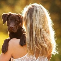 Sala de chat offline de Adalialuff