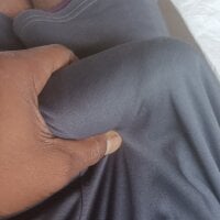 Bengali_BULL1 webcam