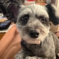 kiyotan0318's Avatar Pic