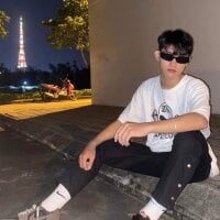 vanphuthinh webcam