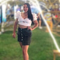 Emye_hudson webcam model