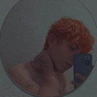 4_Arlequin_4 webcam