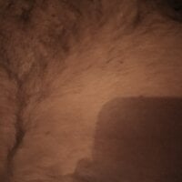 neon3541 webcam