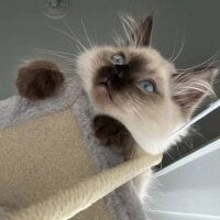 zzzzhuoo's Avatar Pic