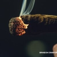 GreenDelleriumD1 Immagine Avatar