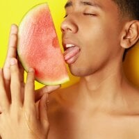 Lion_Dynamite webcam model