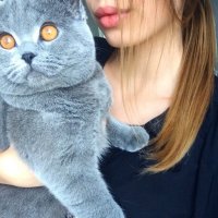 Bilik Sembang Luar Talian Whitney_Khan