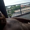 Chubby-TinyDick33's Offline XXX Chat