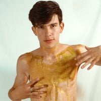 DominicPrince webcam