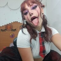 koraa_t webcam model