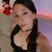 AriaDanger webcam model
