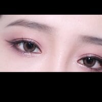 Docegattina-520Live Webcam