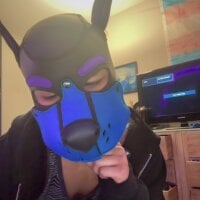 HornyTPup2 webcam