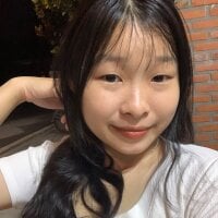 Sasasin webcam model