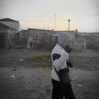 WildXploitations webcam