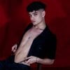 VillyTroye