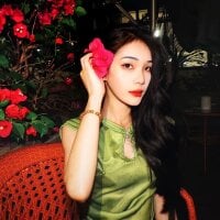 suni-w webcam