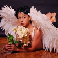 Dante_bre webcam model
