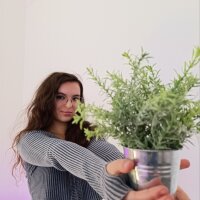 ห้องแชทออฟไลน์ของ KamFarbman