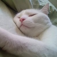 F3RNANDO_69's Avatar Pic