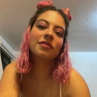 Barenka webcam model