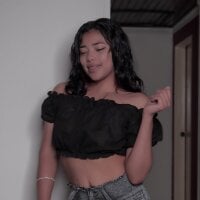 SALOME_IK webcam