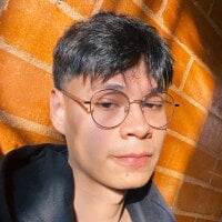 Heliero webcam model