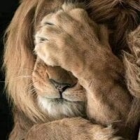 releone09's Profile Pic
