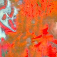 LexKingston@xh webcam