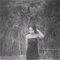 terrynellpretty's Offline Chat Room