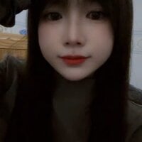 Spring-spring webcam model