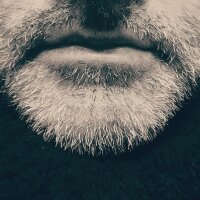 legorilledusud's Profile Photo